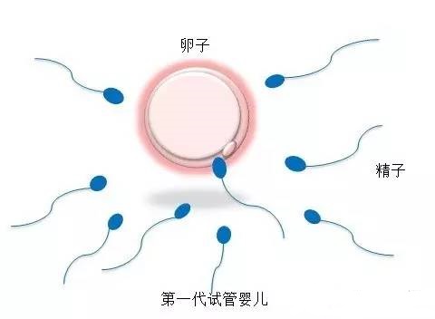 私人高龄借卵联系电话